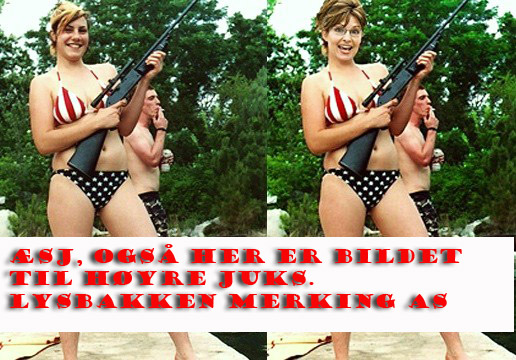 Photoshop sarah pelin bikini